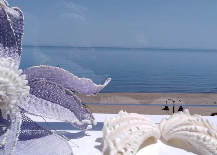 Rocachica Eden 21 Torremolinos